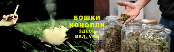 трава Аркадак