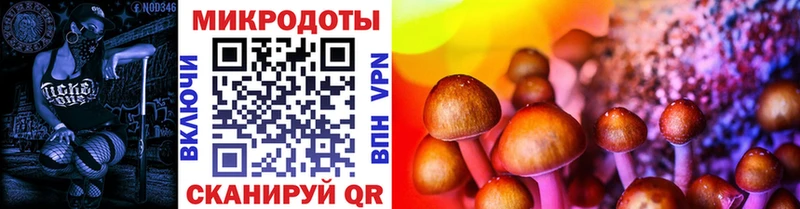 Псилоцибиновые грибы мухоморы Белово